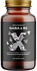 BrainMax GABA & B6 700 mg 100 rostlinných kapsúl