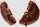 MyProtein Filled Protein Cookie 75 g - dvojitá čokoláda/karamel