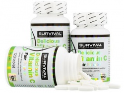Survival Delicious Vitamin C Fair Power 120 tablet