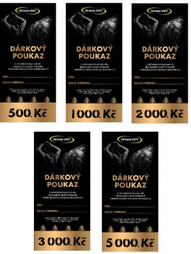 Vánoční dárkový poukaz Fitness007 1000 Kč
