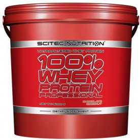 Scitec 100% Whey Protein Professional 5kg - vanilka/very berry VÝPRODEJ (POŠK.OBAL)