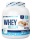 AllNutrition Whey Delicious Protein 2270 g - čokoláda