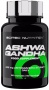 Scitec Ashwagandha 60 kapslí DOPRODEJ