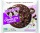 Lenny&Larry's Complete Cookie 113g - ovesné vločky/rozinky