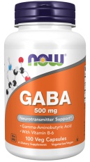 Now Foods Gaba 500 mg