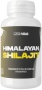 Czech Virus Himalayan Shilajit 90 kapslí