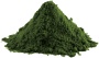 Lifelike Spirulina prášek 100 g PROŠLÉ DMT 25.10.2025