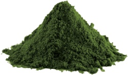 Lifelike Spirulina prášek 100 g PROŠLÉ DMT 25.10.2025