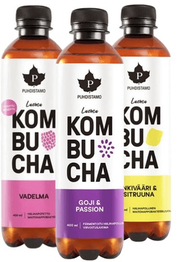 Puhdistamo Kombucha BIO 400 ml - malina