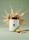 SmartFuel Kešu krém 1000 g
