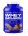Scitec 100% Whey Infusion 2000 g