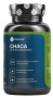 MAXXWIN Chaga 60 kapslí