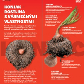 LAVDAY Konjakové Těstoviny 270 g