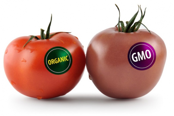 Jsou organické potraviny zdravější? Je organický protein či tyčinka lepší? 