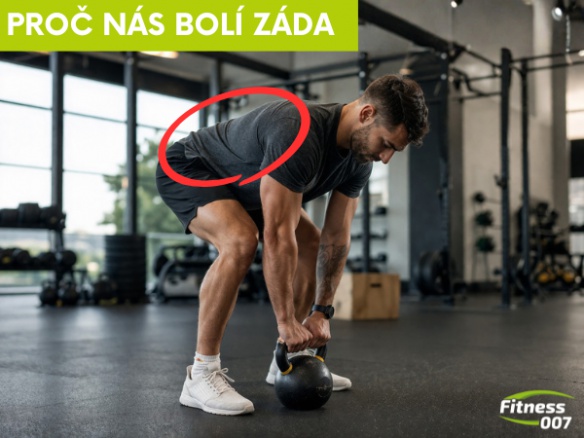 Jak opravdu vzniká bolest zad: hlavní příčiny a proč jsou rovná záda mýtus.