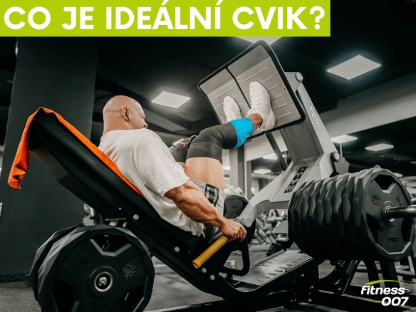  Proč neexistuje nejlepší cvik. Posuň se v tréninku dál.